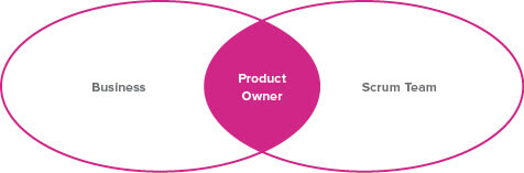 A Venn diagram showing that the Product Owner is at the intersection of the Business and the Scrum Team.